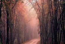 世预赛国足主场不敌澳大利亚，无缘以小组前两名身份直通美加墨世界杯环球时报.：kaiyun