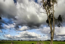 英媒：英超4队追逐居莱尔，皇马可能设置回购选项后出售球员.：kaiyun